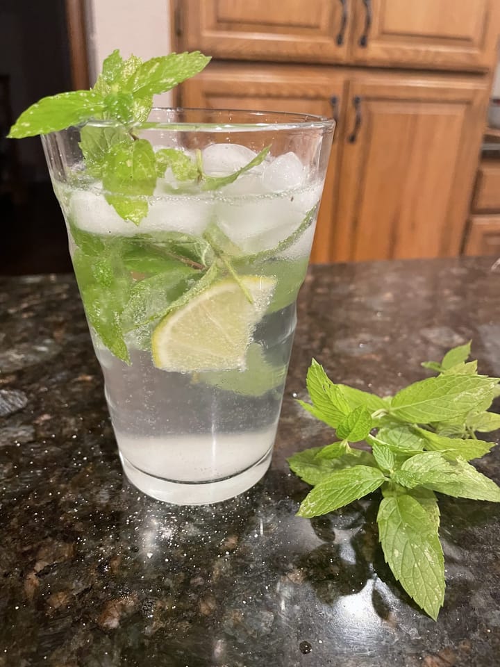 19 Dicembre - Mojitooooo!