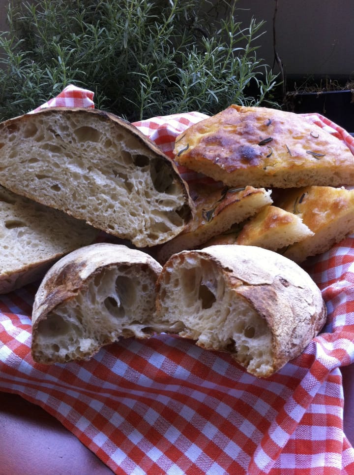 Il mio pane al kamut con lievito madre